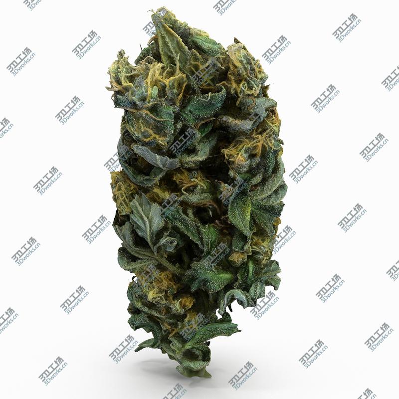 images/goods_img/2021040233/Cannabis Bud 04 model/4.jpg